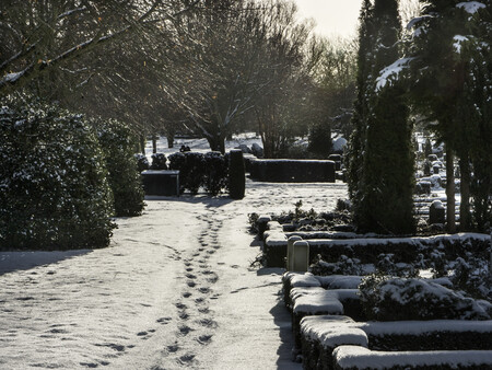 Billede af fodspor i sne på kirkegård