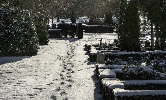 Billede af fodspor i sne på kirkegård