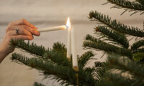 Billede af juletræstænding