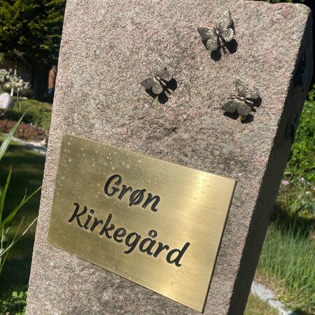 Billede af sten