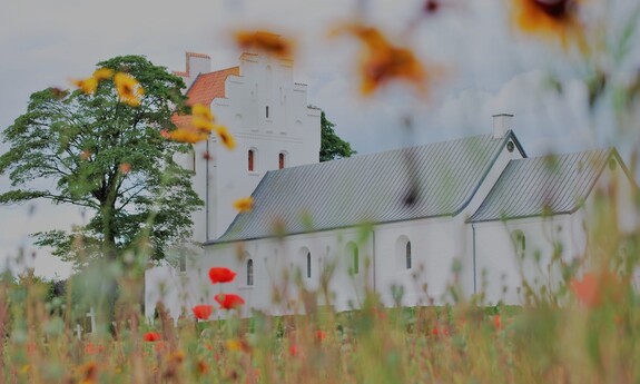 Billede af Give Kirke fra blomstermark